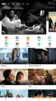 每天更新 在线观看,尽享在线观影盛宴