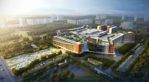 西咸新区最新医院爆料,揭秘最新医院建设动态与亮点 第3张 西咸新区最新医院爆料,揭秘最新医院建设动态与亮点 第3张