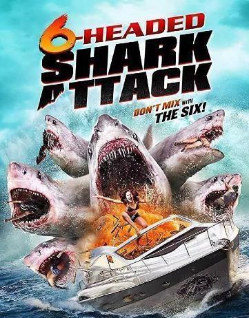 鲨鱼运营爆料怎么做视频,揭秘视频制作背后的技巧与策略