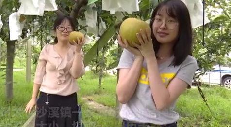 小莉帮忙后厨爆料视频,小莉爆料厨房那些事儿  第2张