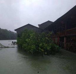 网友爆料山洪视频大全集,惊心动魄的山洪视频大全集  第3张
