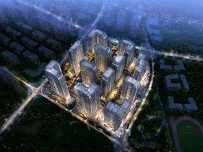 昆明海豚湾爆料视频大全,揭秘幕后真相与精彩瞬间  第3张