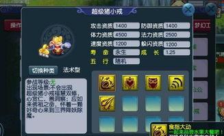 梦幻新版本爆料大全最新,揭秘全新内容与玩法革新  第2张