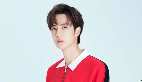 娱乐大爆料吴瑾言是谁啊,揭秘吴瑾言的星光之路  第3张